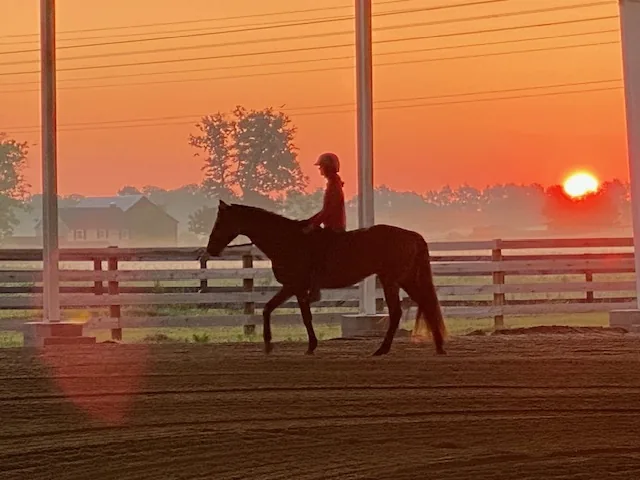 A rider working a horse in the covered arena