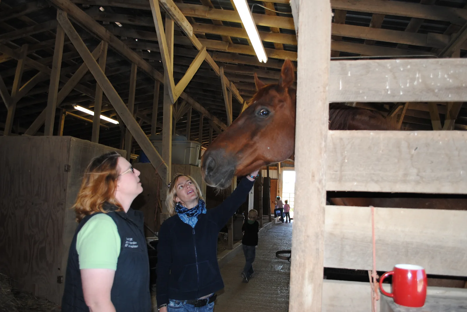 Enjoying the Horses