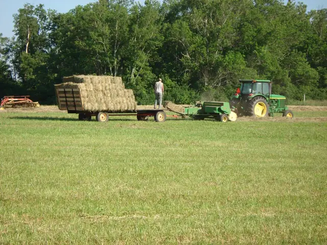 Bittersweet Acres Farm — bailing hay