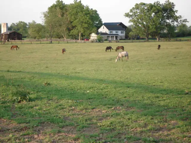 Bittersweet Acres Farm — front field