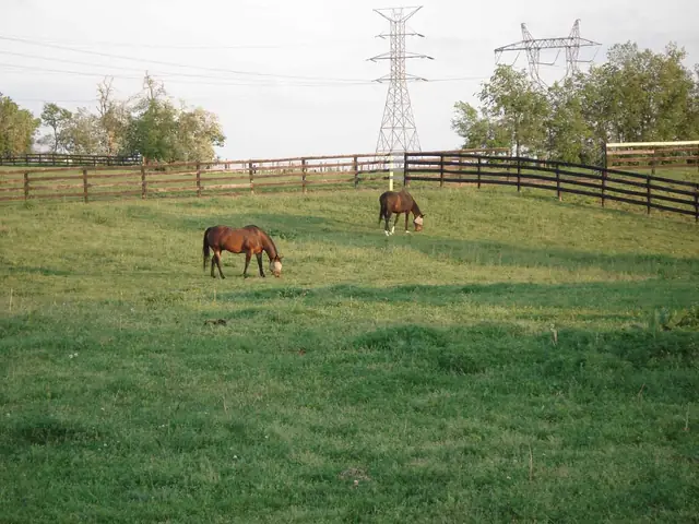 Bittersweet Acres Farm — paublo trooper