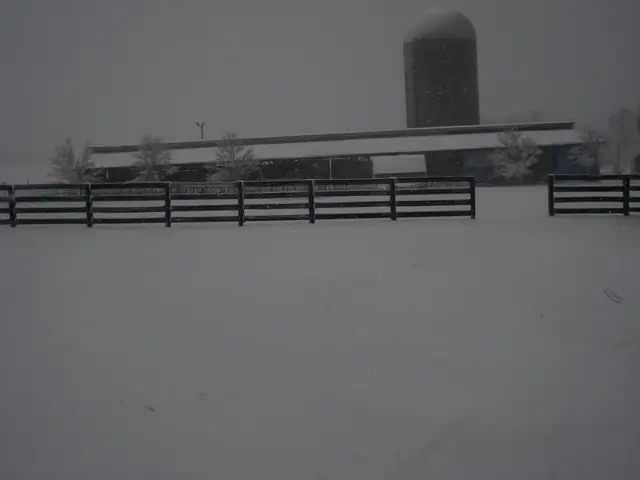 Bittersweet Acres Farm — dsc00788