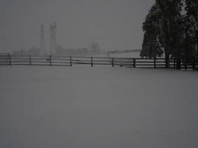 Bittersweet Acres Farm — dsc00789