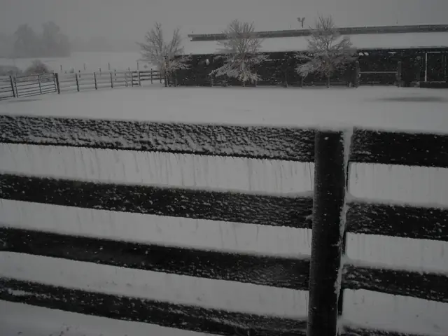 Bittersweet Acres Farm — dsc00796