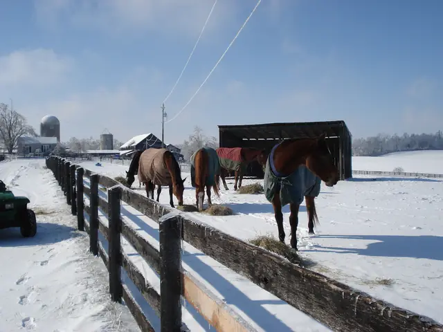 Bittersweet Acres Farm — dsc00814