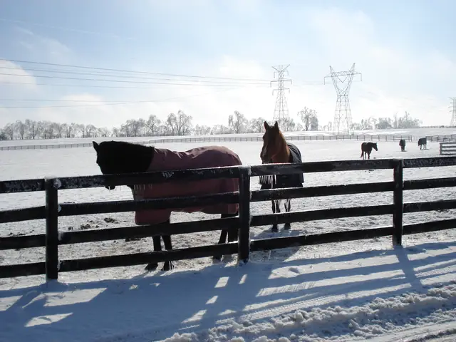 Bittersweet Acres Farm — dsc00815