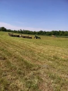 Hay on wagon