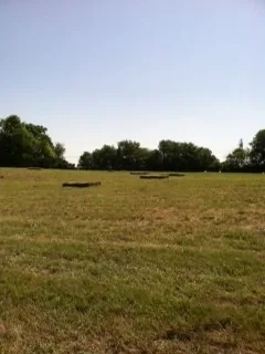Hayfield at the farm