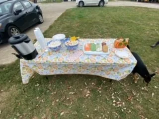 Treats laid out in the barn
