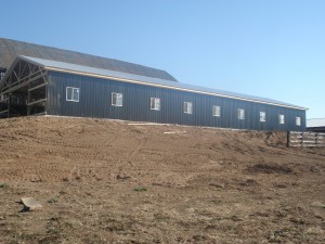 Side of the Barn with the Metal On and Windows In